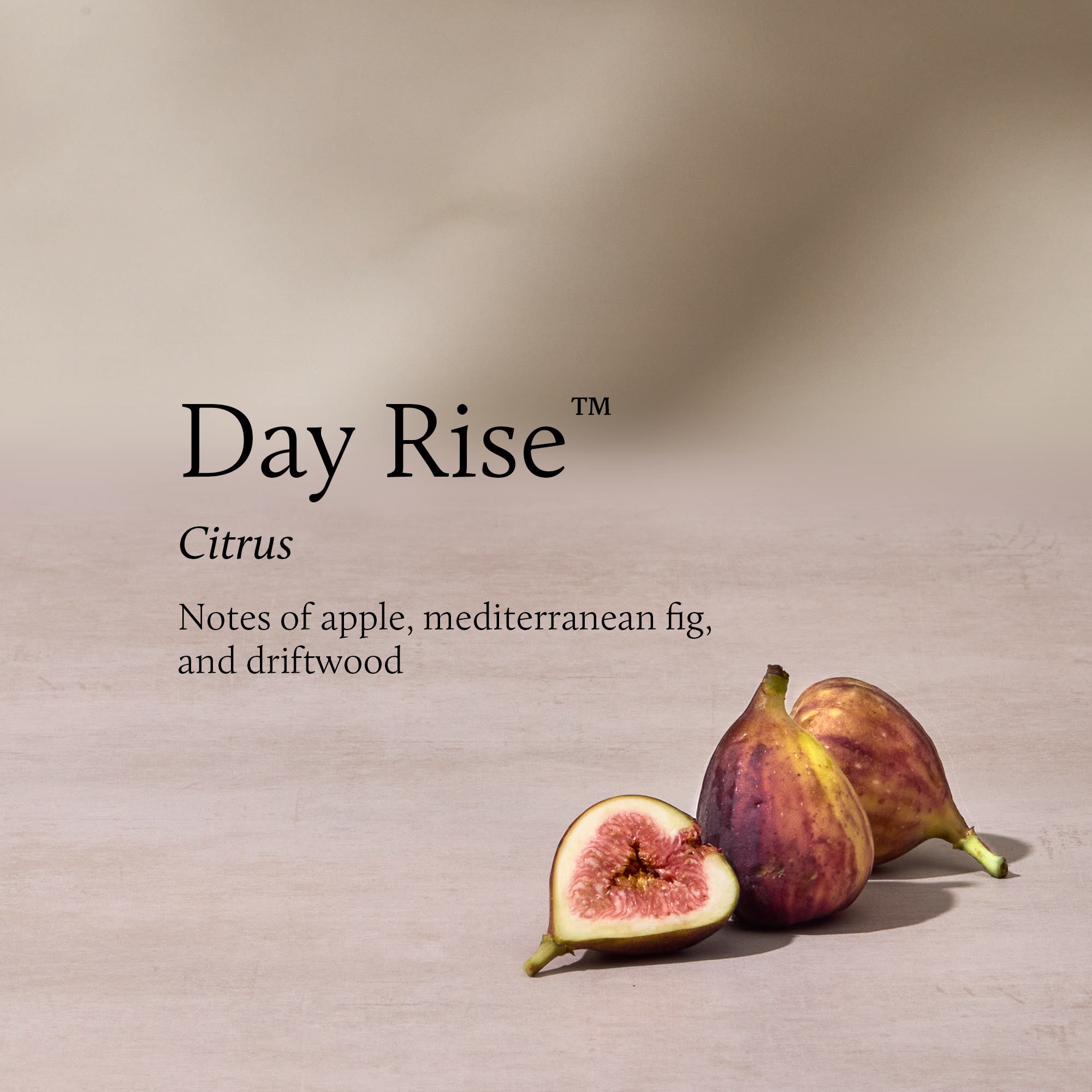 Day Rise Home Fragrance Mist