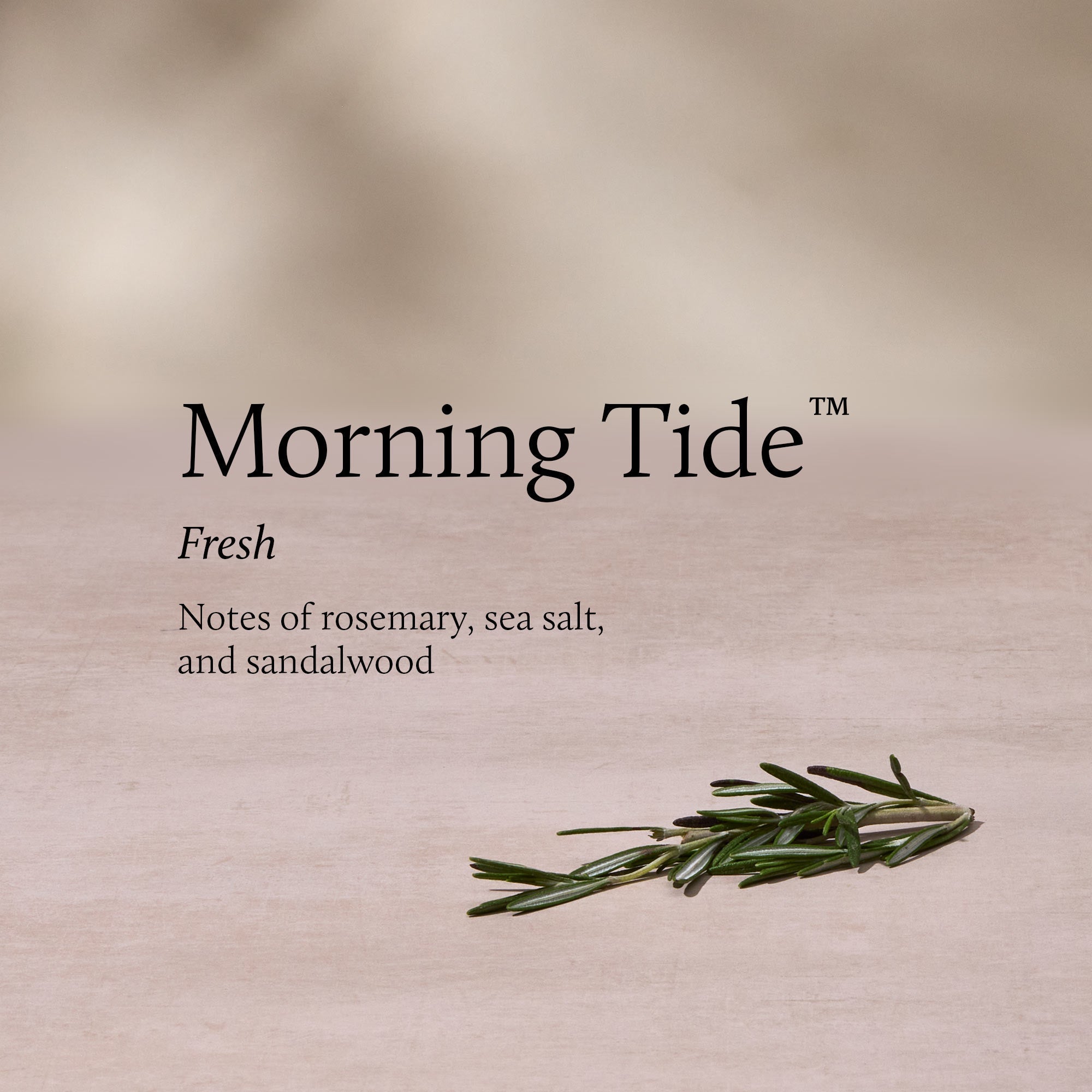 Morning Tide Petite Reed Diffuser
