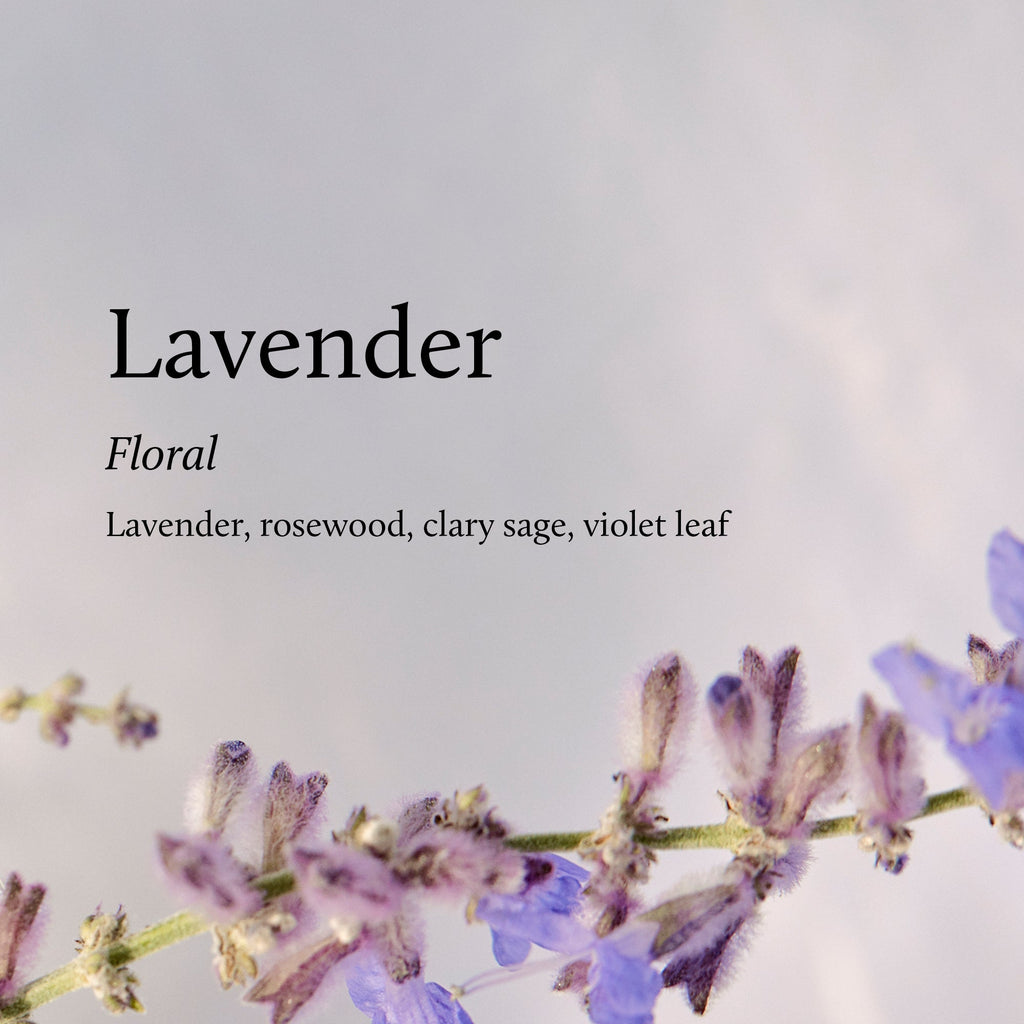 Lavender & Eucalyptus Pura Home™ V5 Diffuser Kit
