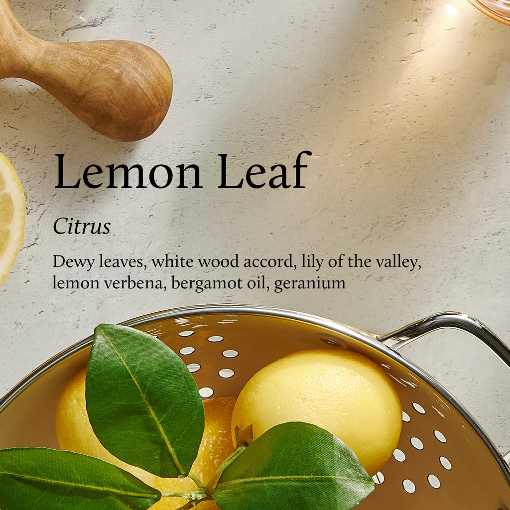Lemon Leaf & Mandarin Coriander Pura Home™ V5 Diffuser Kit