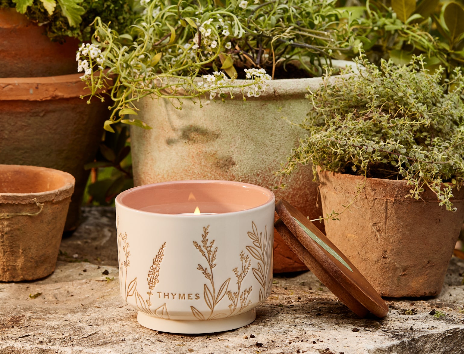 Citronella Grove Patio Essentials