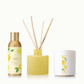 Lemon Leaf Layering Trio