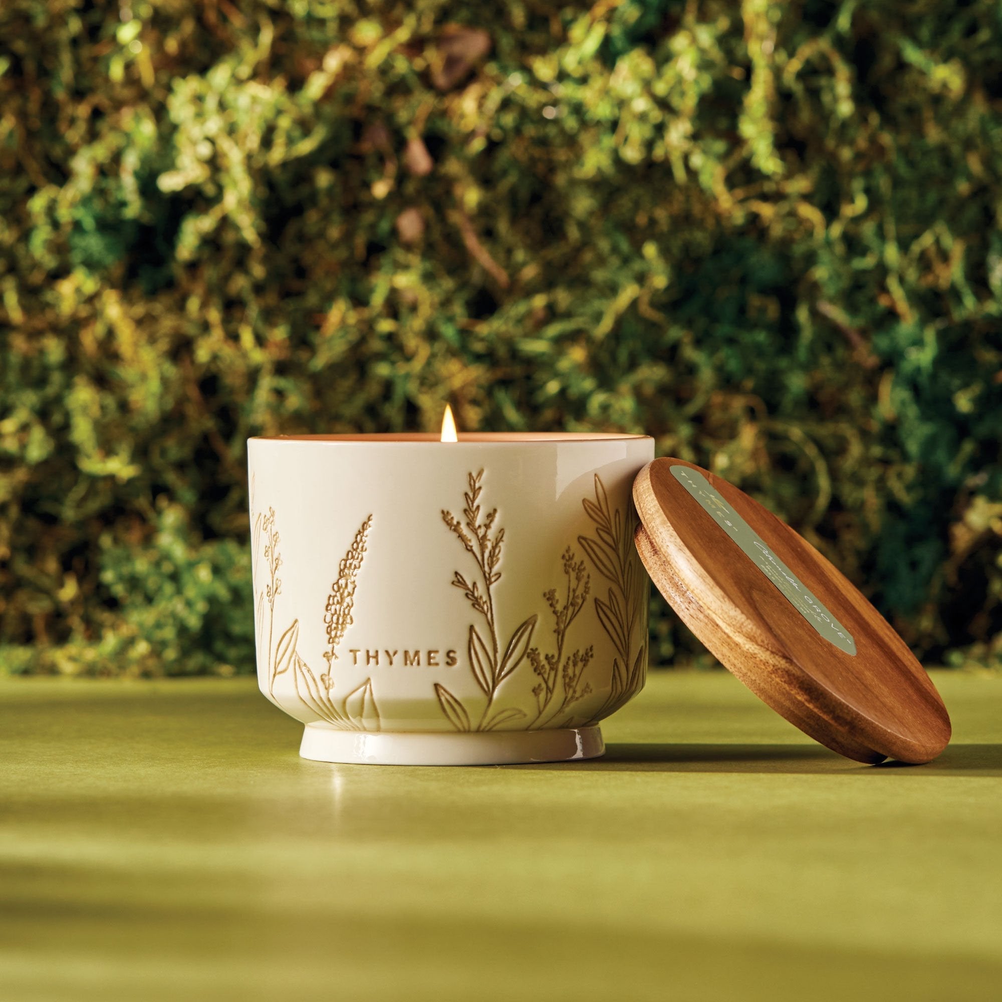 Citronella Grove Patio Essentials