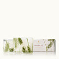 Frasier Fir® Pine Needle Candle Set