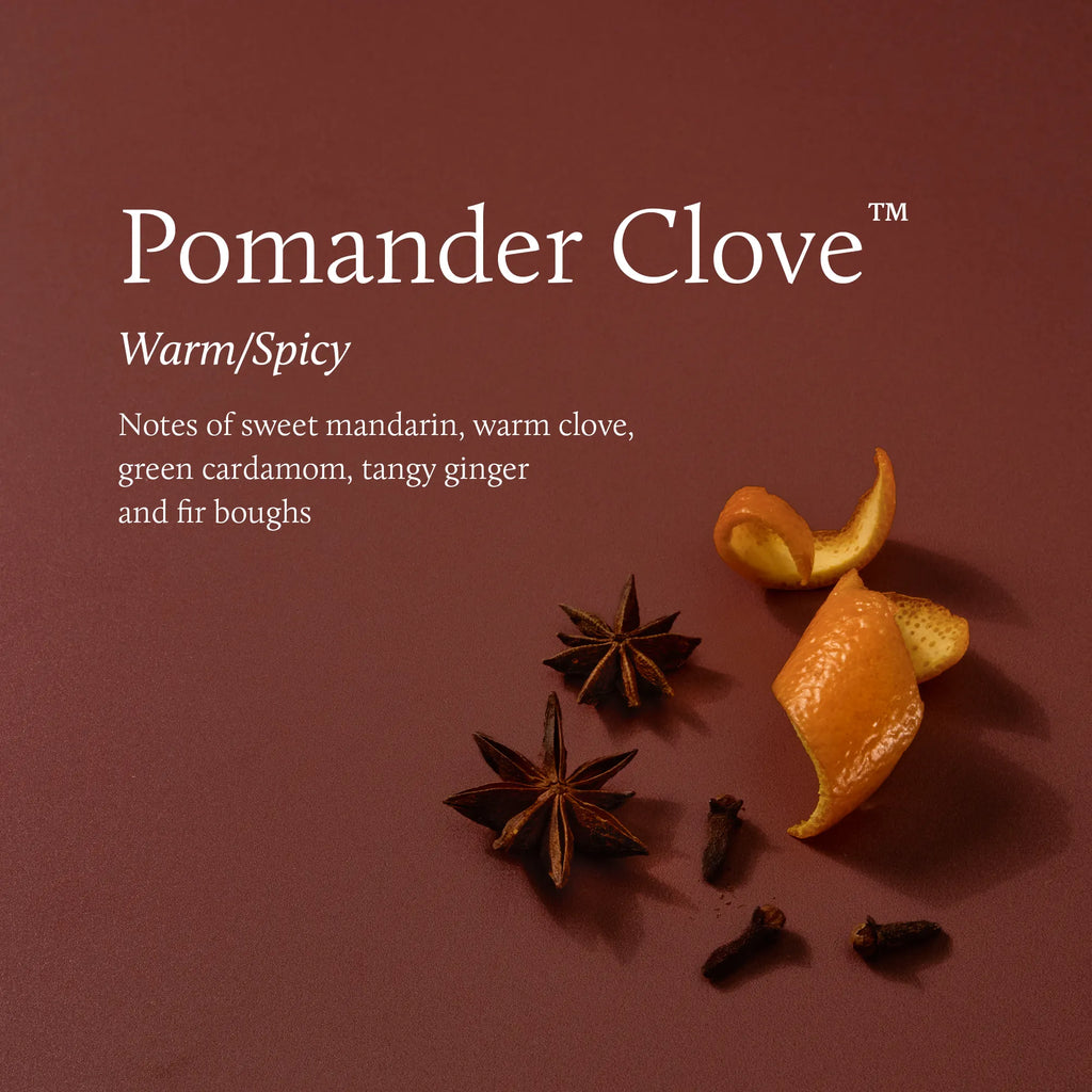 Pomander Clove Candle Tin 